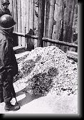 American soldiers view a pile of human remains outside the crematorium in Buchenwald. * 253 x 370 * (44KB)